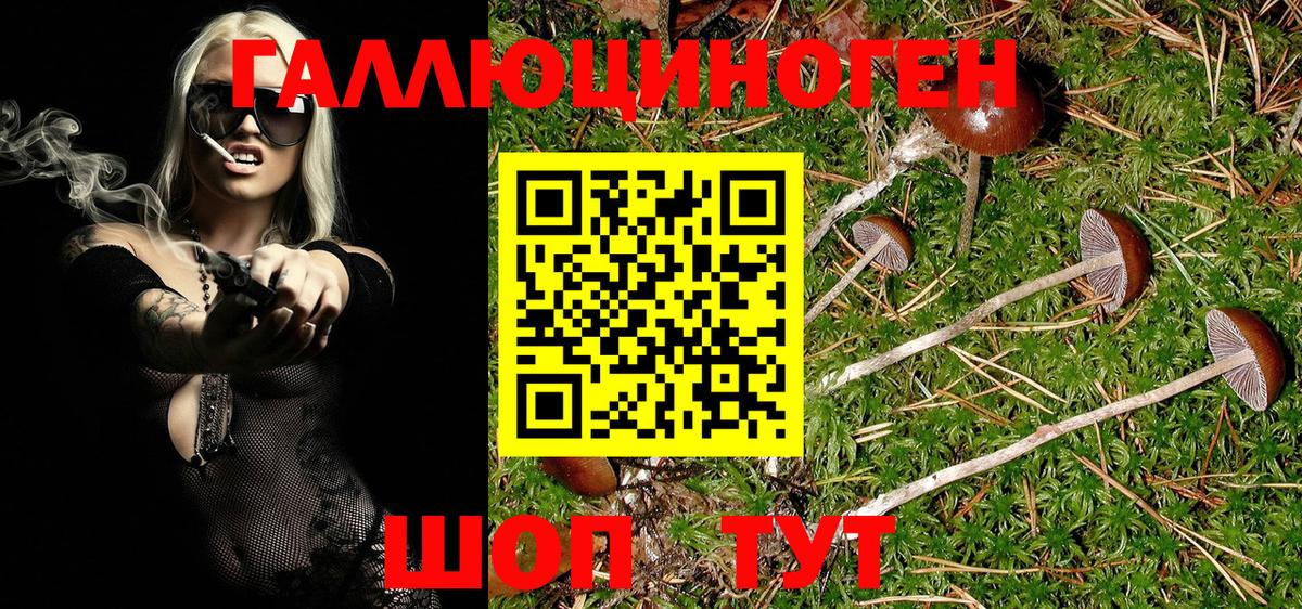Галлюциногенные грибы MAGIC MUSHROOMS Омск