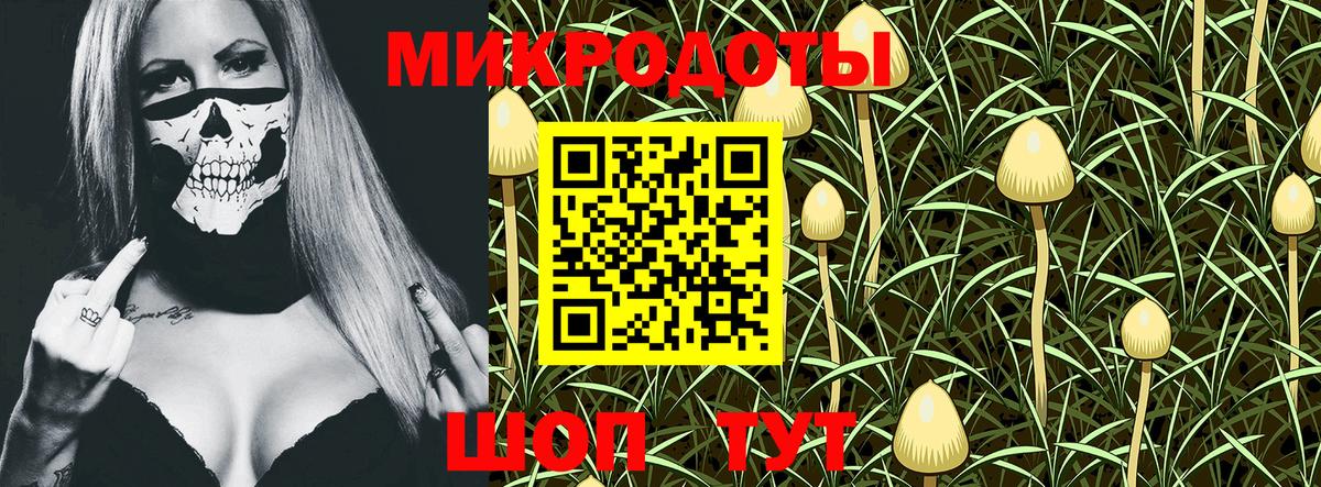 Галлюциногенные грибы Psilocybine cubensis  Псилоцибиновые грибы ЛСД  Омск  Вход с VPN 